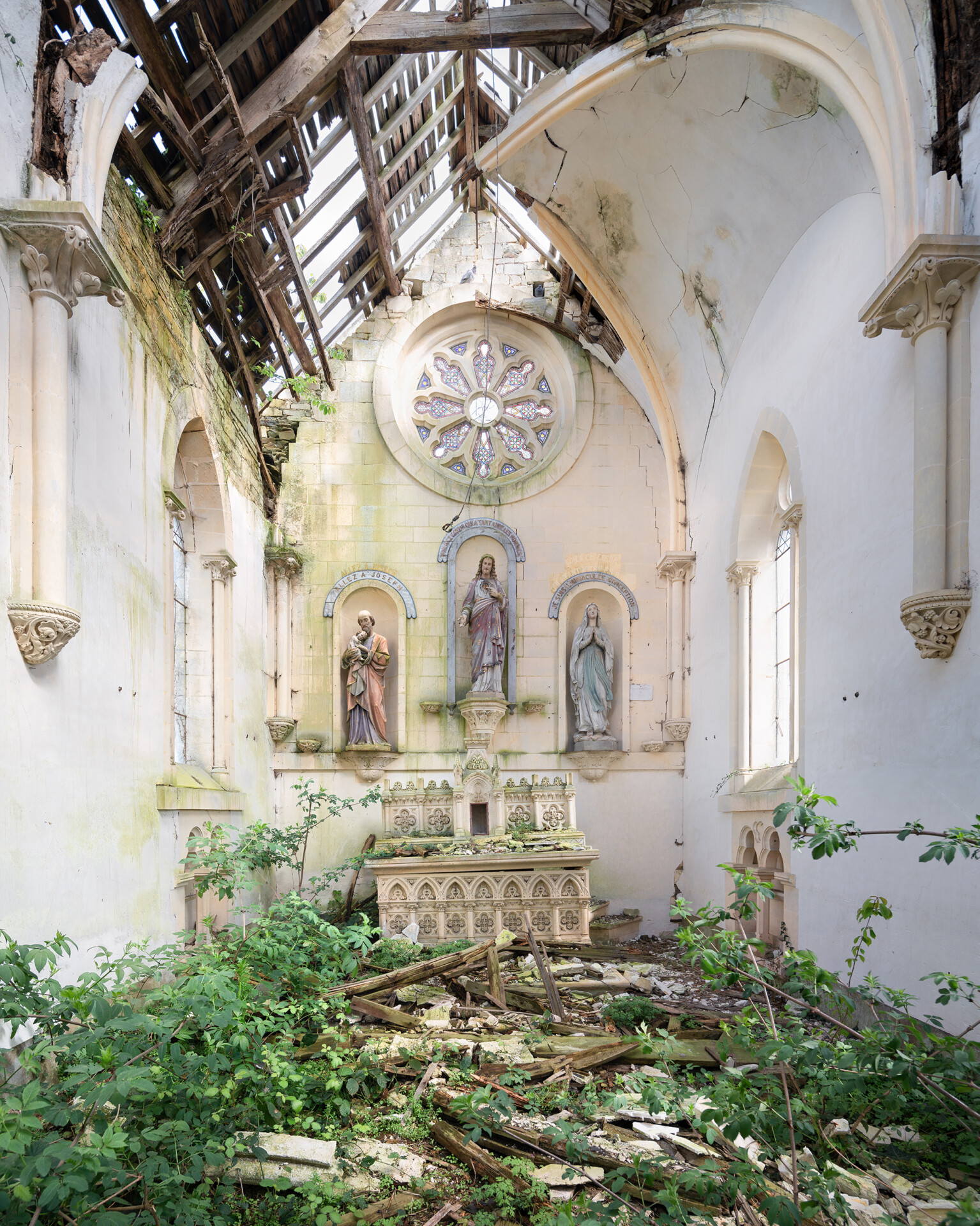 Abandoned church with beautiful nature inside