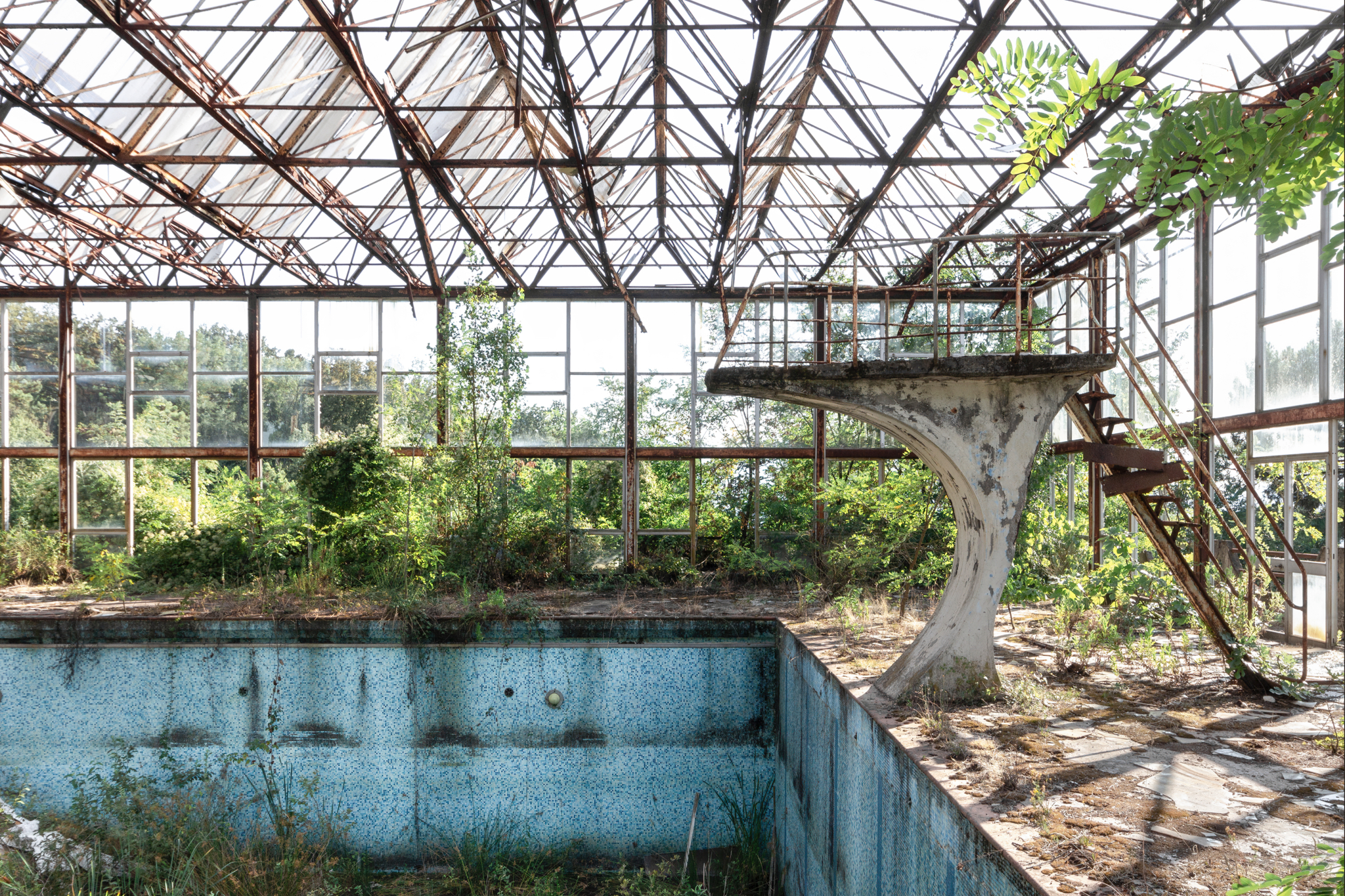 Forestale - Abandoned pool with nature reclaim, Italy